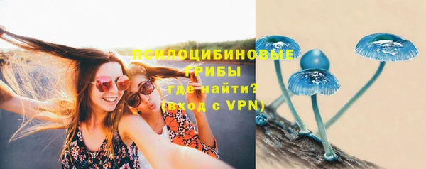 ALPHA-PVP Козловка