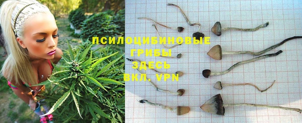 прущая мука Козельск