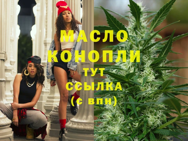 гашик Ветлуга