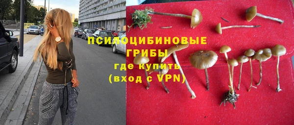 ALPHA-PVP Козловка