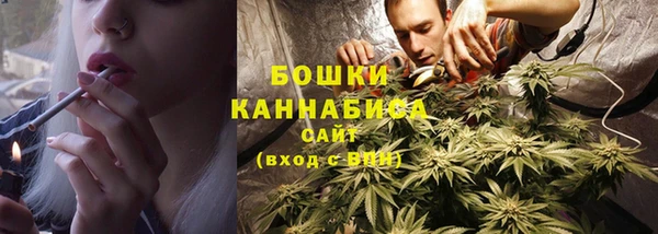 амф Корсаков