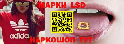 Альфа ПВП Камышлов