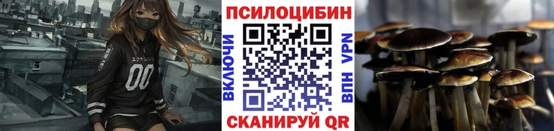 Псилоцибиновые грибы ЛСД  маркетплейс Telegram  mega рабочий сайт  Кузнецк  хочу  